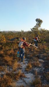 Brigada Voluntária Gavião Fumaça  - Ajude a Brigada Voluntária Gavião Fumaça a se equipar 