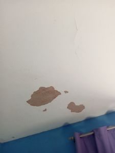 Andreia - Reforma urgente