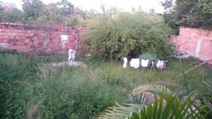 Socorro a Maria - Socorro a Maria