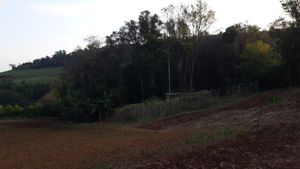 RESTAURANDO O MEIO AMBIENTE imagem 7