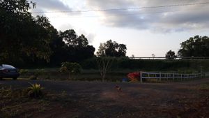 RESTAURANDO O MEIO AMBIENTE imagem 6