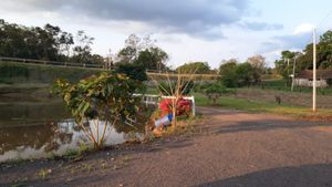 Vaquinha Online - RESTAURANDO O MEIO AMBIENTE