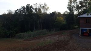 RESTAURANDO O MEIO AMBIENTE imagem 8