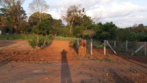 NATUREZA GUARITENSE - RESTAURANDO O MEIO AMBIENTE