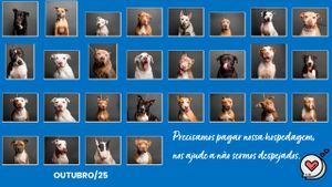 Vamos nos unir e pagar a clínica. Vem!!! 