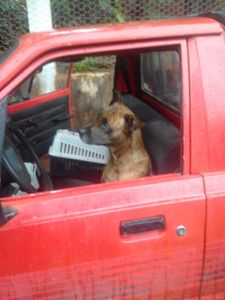 Pitangui/MG - Nos ajude a continuar ajudando