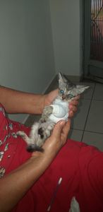 Nos ajude a continuar ajudando imagem 9