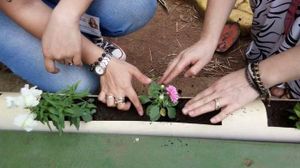 Vaquinha Online - Sustentabilidade é tudo