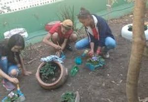 Sustentabilidade é tudo imagem 7