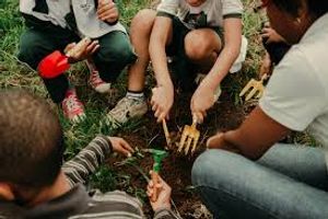 Sustentabilidade é tudo imagem 6