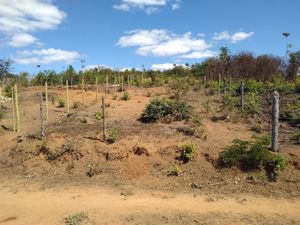 Causas e Comunidade - Ajude-me a fazer um casinha pra morar
