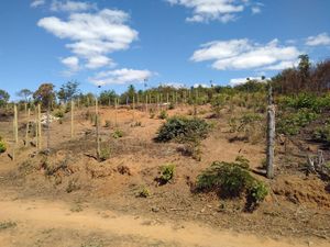 Ajudaparaconstruir - Ajude-me a fazer um casinha pra morar