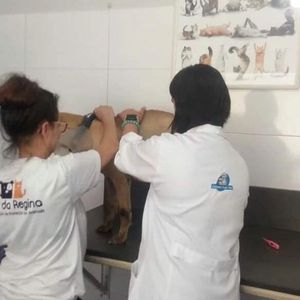 AJUDE O LAR DA REGINA  imagem 6