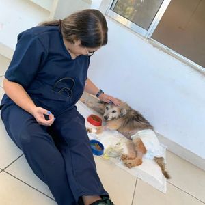 Vaquinha Online - AJUDE O LAR DA REGINA 