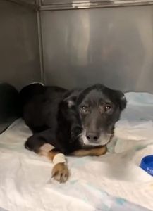 ONG LAR DA REGINA  - AJUDE O LAR DA REGINA 