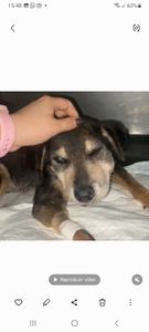 AJUDE O LAR DA REGINA  imagem 8