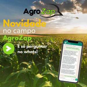 Financiamento Coletivo - Agrozap.ai: Levando IA gratuitamente para o campo