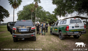 Ajude a evitar a morte de onças-pintadas no Pantanal