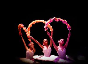 Belém/PA - Um Sonho de Bailarina 