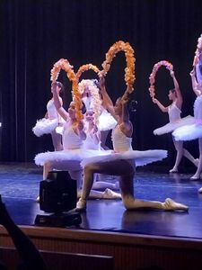 Teatro e Dança - Um Sonho de Bailarina 