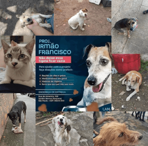 São Paulo/SP - Lar Assistencial Matilde