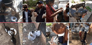 ONGs - Lar Assistencial Matilde