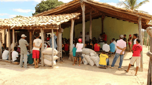 Oficina de Instrumentos Musicais e Festival de Música Infantil imagem 8