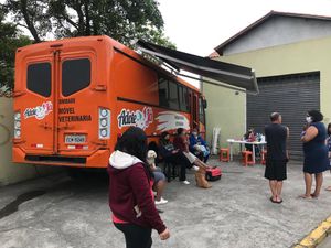 CASTRAÇÃO SOCIAL imagem 9