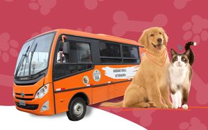 Mogi das Cruzes/SP - CASTRAÇÃO SOCIAL