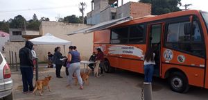 CASTRAÇÃO SOCIAL imagem 8