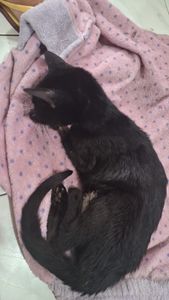 Ajude a Shuri a se Recuperar