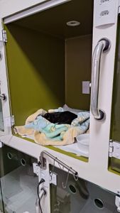 Ajude a Shuri a se Recuperar imagem 6