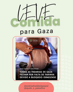Alimente famílias com fome no norte de Gaza