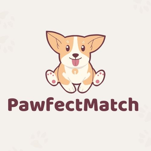 Crowdfunding - Conheça PawfectMatch - Seu Novo Caminho para Adoção de Animais de Estimação!