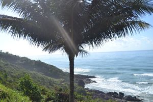 Fotografia - Compra Equipamentos Fotográfico 