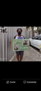 Projeto Social Acadêmico: Ajude um Protetor de animais  imagem 6