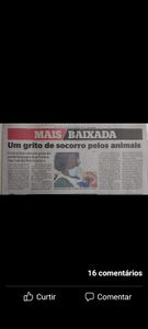 Projeto Social Acadêmico: Ajude um Protetor de animais  imagem 9