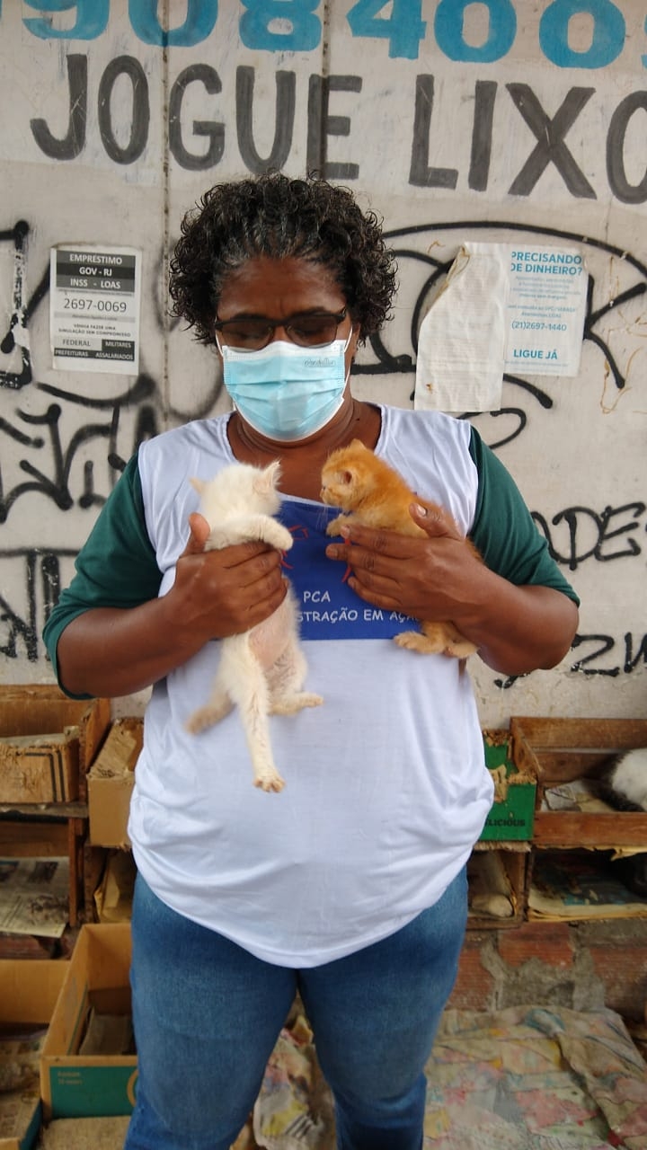 Vaquinha Online - Projeto Social Acadêmico: Ajude um Protetor de animais 