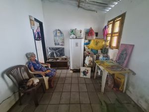 Pinceladas de Esperança: Renascimento de Dona Maria Augusta, Pintora Primitivista imagem 8