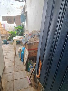 Pinceladas de Esperança: Renascimento de Dona Maria Augusta, Pintora Primitivista imagem 10