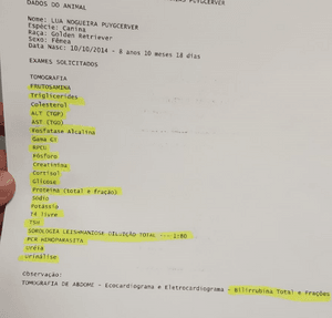 Fortaleza/CE - Ajude a salvar a Lua