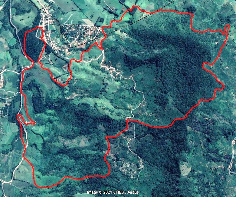Vaquinha Online - Reflorestamento das áreas atingidas pelo fogo