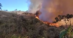 Campanha para reflorestamento das áreas atingidas pela queimada no município de Brazópolis-MG - Reflorestamento das áreas atingidas pelo fogo