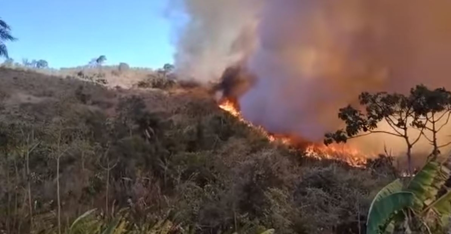 Campanha para reflorestamento das áreas atingidas pela queimada no município de Brazópolis-MG - Reflorestamento das áreas atingidas pelo fogo