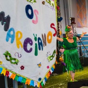 Não deixe o carnaval de Bonfim Paulista na Mão! imagem 8