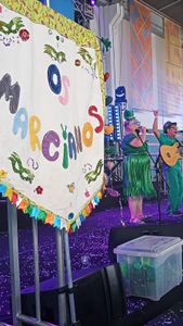 Financiamento Coletivo - Não deixe o carnaval de Bonfim Paulista na Mão!