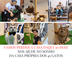 COMPRAR A CASA DOS 45 GATOS