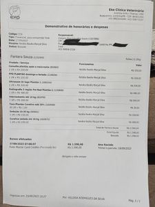 Vaquinha Online - Ajude o Pantera 