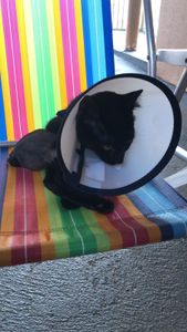 Ajude o Pantera  - Ajude o Pantera 