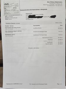 Animais - Ajude o Pantera 